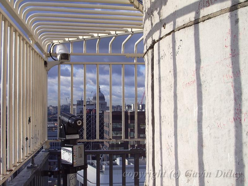 St Paul's through a cage, the Monument IMGP7630.JPG